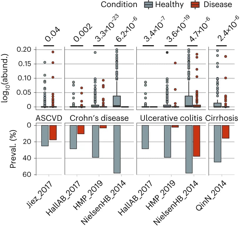 Open access visualization of Box Plot, Bar Plot, Scatter Plot, Box plots, Relative abundance