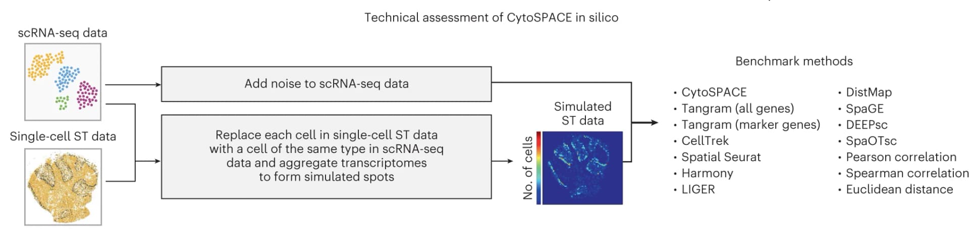 Open access visualization of Workflow, CytoSPACE, ST Datasets, Single-Cell Composition, Spot Resolution