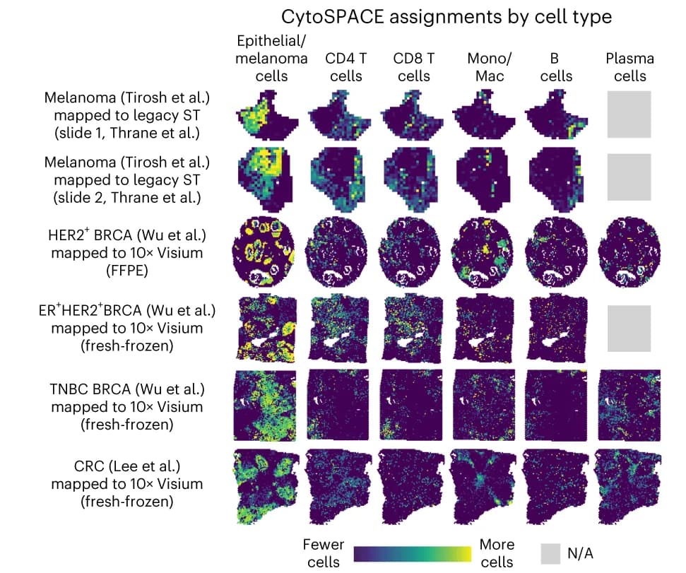 Open access visualization of Microscopy, scRNA-seq, Tumor Atlases, Spatial Transcriptomics, Breast Cancer
