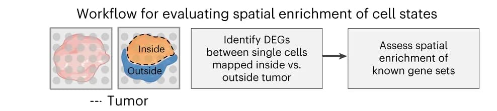 Open access visualization of Workflow, Flowchart, Illustration, Spatial Enrichment, Tumor Core