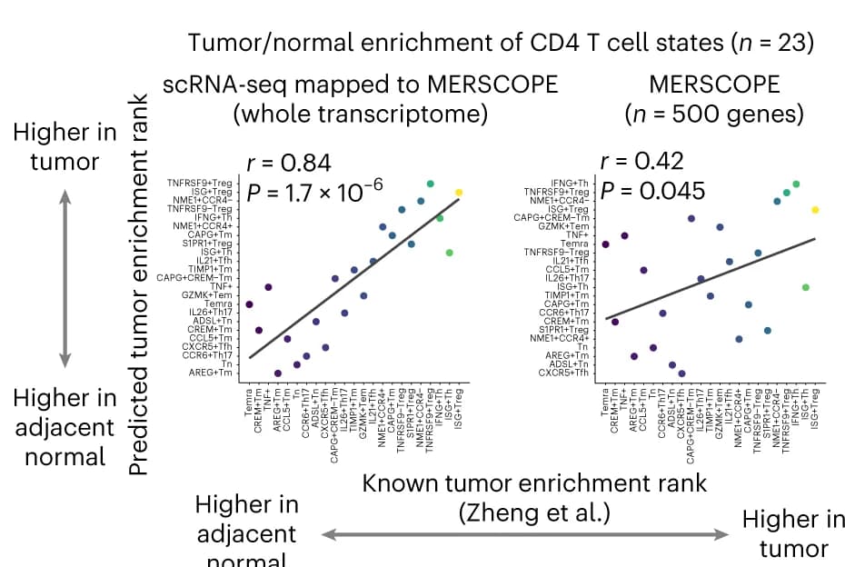 Open access visualization of Scatter Plot, Regression Plot, CD4 T Cell, Tumor Regions, GSEA
