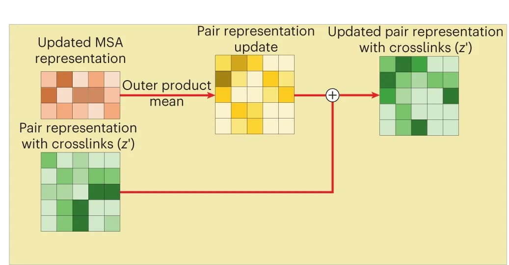 Open access visualization of Workflow, Flowchart, Pair Representation, MSAs, Crosslinks