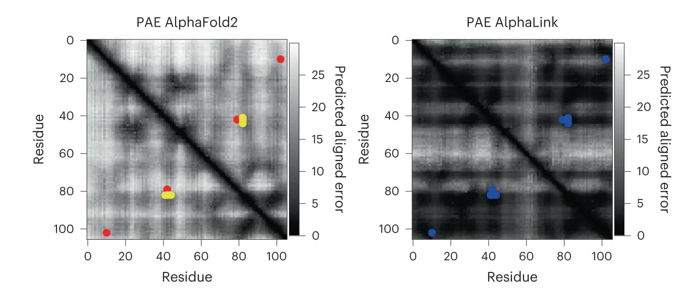 Open access visualization of Heatmap, Scatter Plot, AlphaFold2, AlphaLink, Predicted Aligned Error
