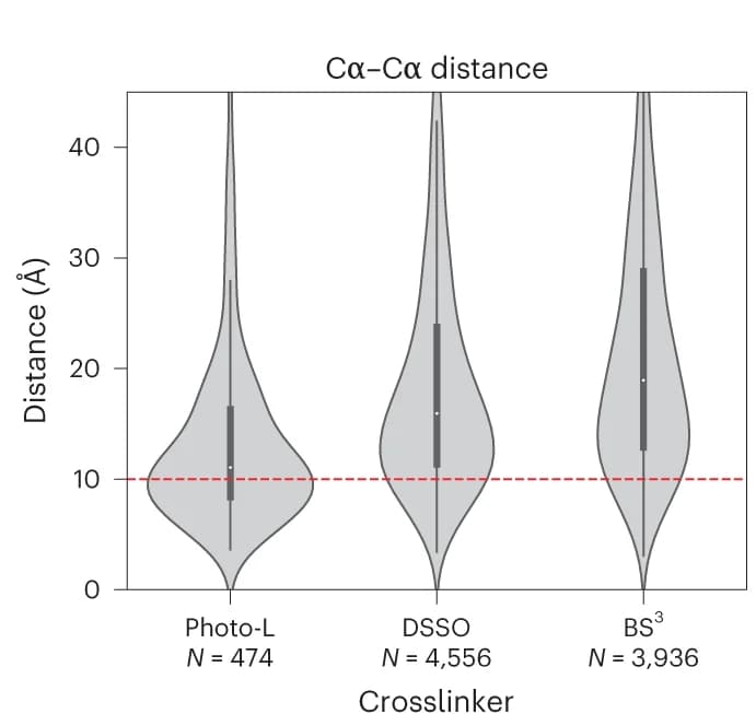 Open access visualization of Violin Plot, Box Plot, Photo-L Crosslinks, Known Structures, Conformer