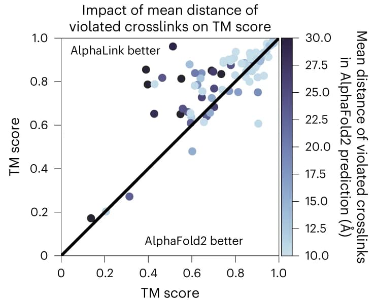 Open access visualization of Scatter Plot, Regression Plot, TM Score, Crosslinks, AlphaFold2
