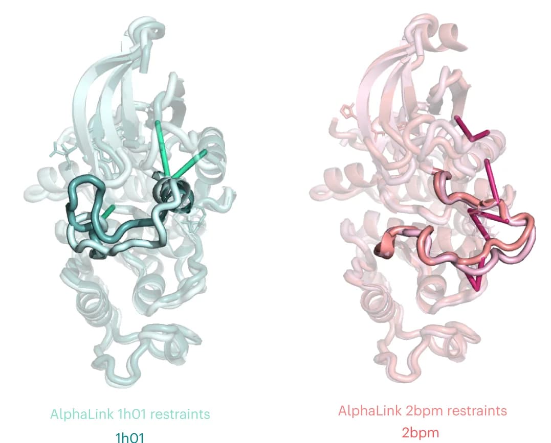 Open access visualization of Protein Structure, AlphaLink, Crystal Structure, Cyclin A, Protein Conformation