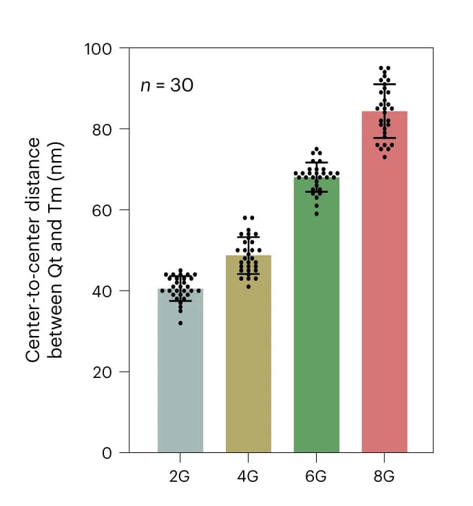 Open access visualization of Bar Plot, Error Bars, 1M-Qt anti-GFP, 1M-Tm anti-mCherry, Cross-linker