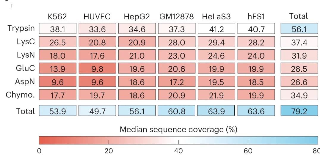Open access visualization of Heatmap, Sequence Coverage, Cell Line Proteomes, Protease Digests, Proteases