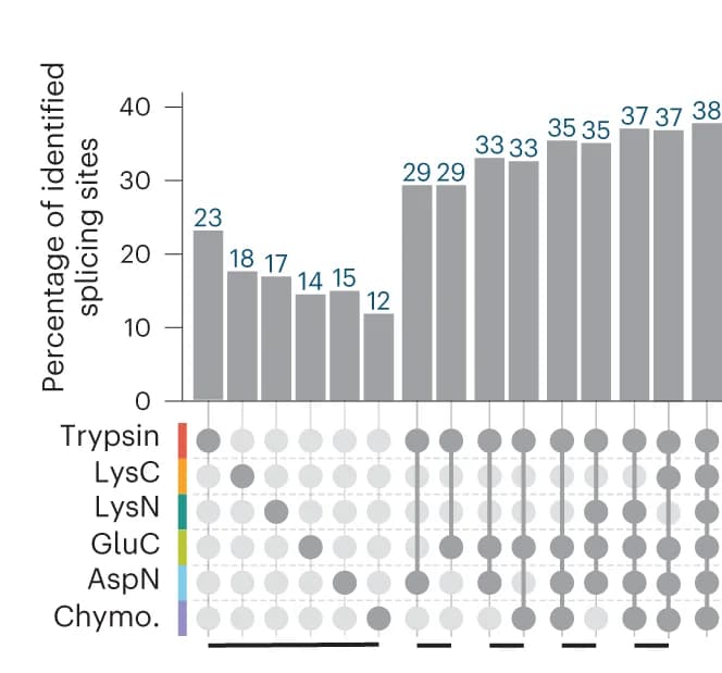 Open access visualization of Bar Plot, Splice Junction, Proteomics, Protease Combinations, Transcriptomics Coverage