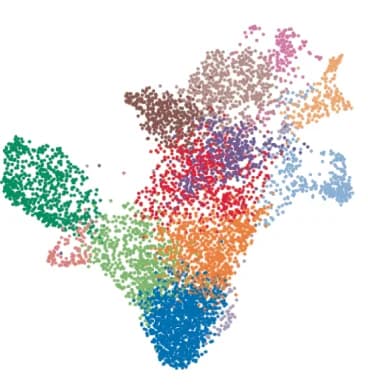 Open access visualization of Scatter Plot, UMAP, PCA, scRNA-seq, Hematopoietic Stem and Progenitor Cells