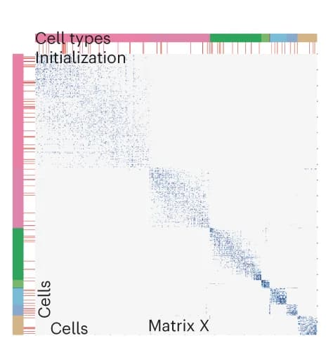 Open access visualization of Heatmap, Clustered, Bar Plot, Cell-to-Cell Affinity Matrix, Gaussian Kernel