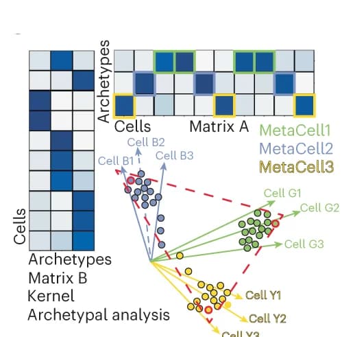 Open access visualization of Scatter Plot, Heatmap, Kernel Archetypal Analysis, Kernel Matrix, Archetype Matrix