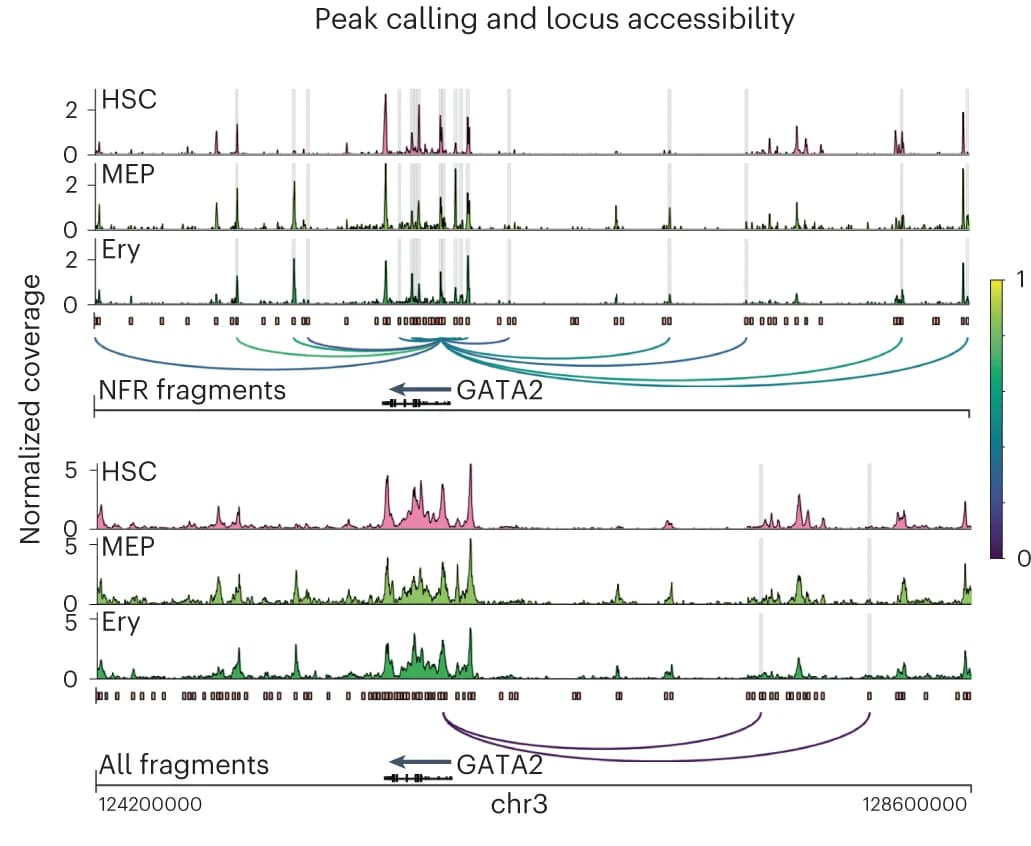 Open access visualization of Line Plot, Density Plot, Accessibility Landscape, Erythroid Factor, GATA2