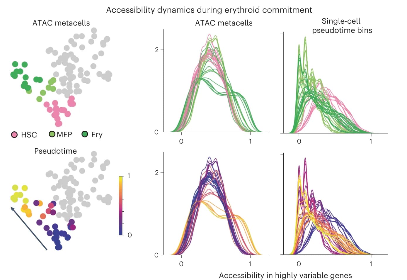 Open access visualization of Scatter Plot, Line Plot, Density Plot, Chromatin accessibility, Highly regulated genes