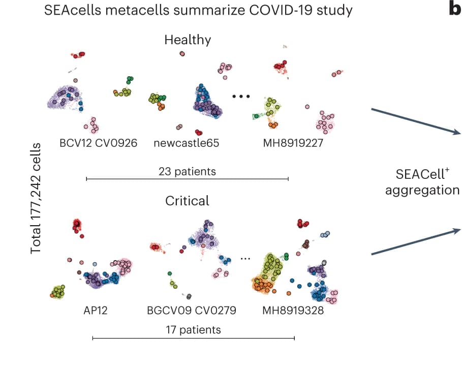 Open access visualization of Scatter Plot, UMAP, PCA, PBMC, Metacells