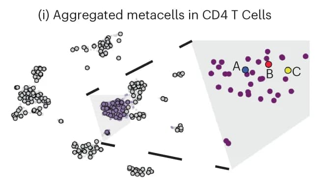 Open access visualization of Scatter Plot, UMAP, PCA, Metacells, Meta 2 Cells