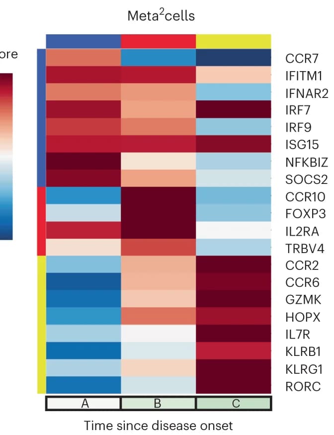 Open access visualization of Heatmap, T Cell Activation, T Cell Differentiation, CD4 T Cells, Meta 2 Cells