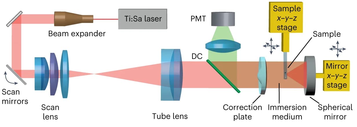 Open access visualization of Workflow, Illustration, Multi-photon Microscopy, Spherical Mirror, Correction Plate