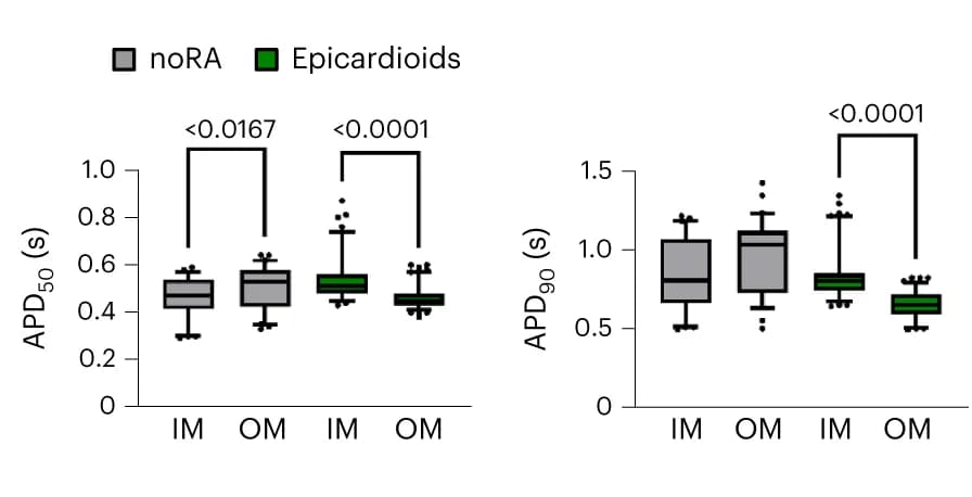 Open access visualization of Box Plot, APD 50, APD 90, Spheroids, Epicardioids