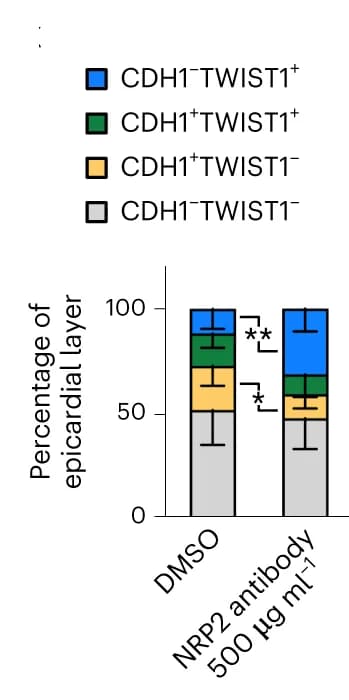 Open access visualization of Stacked Bar Plot, Error Bars, CDH1, TWIST1, Epicardial cells