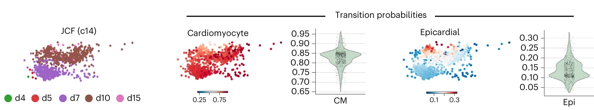 Open access visualization of Scatter Plot, Violin Plot, UMAP plots, JCF cluster, Transition probabilities