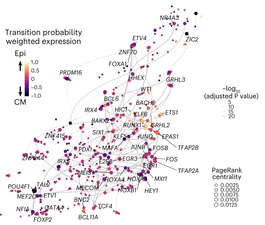 Open access visualization of Network, Pathway, UMAP embedding, TF network, JCF cluster