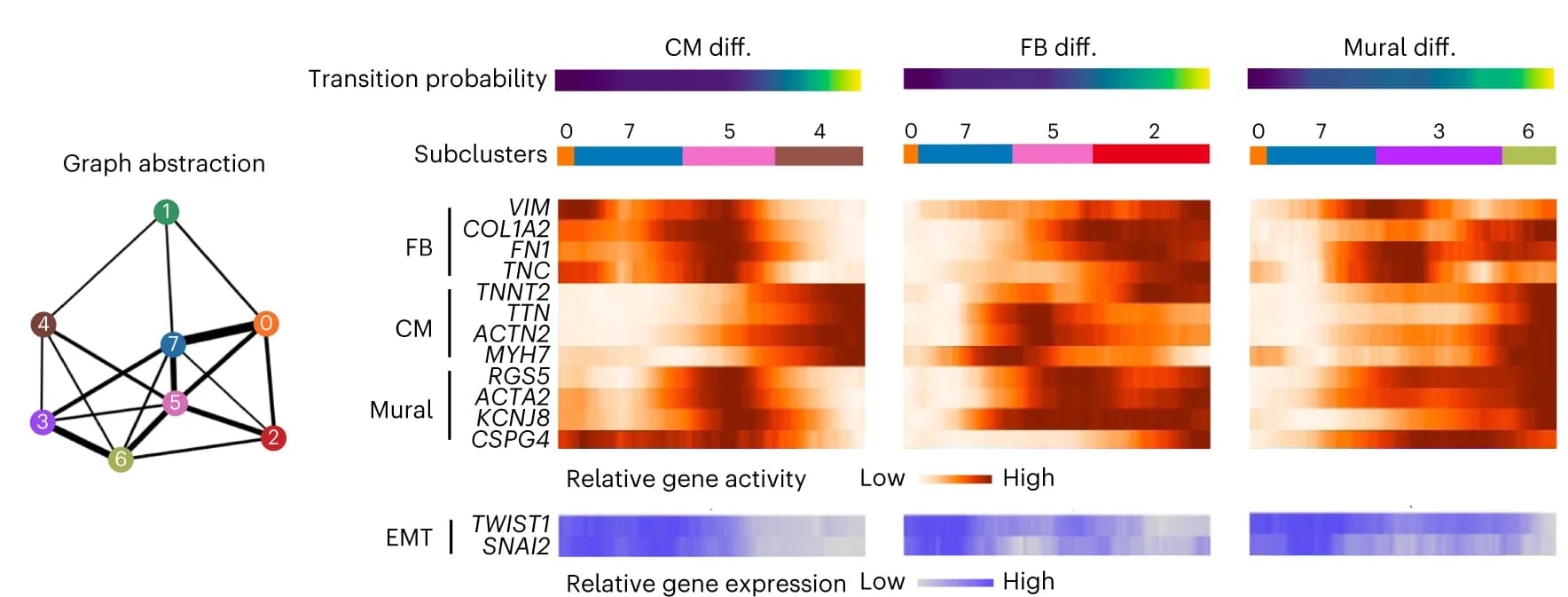 Open access visualization of Network, Heatmap, Partition-Based Graph Abstraction, Epicardial Subclustering, Heat Maps