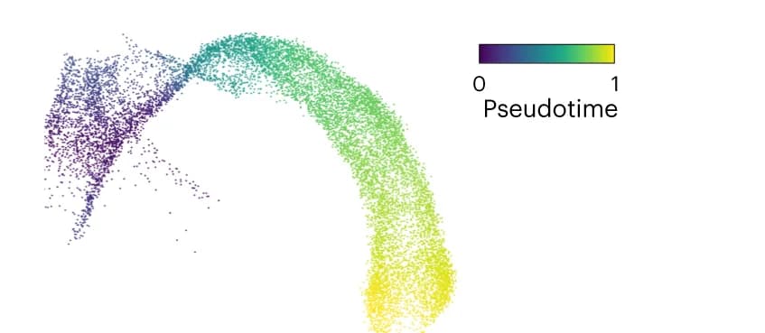 Open access visualization of Scatter Plot, UMAP, Gene-Shared Pseudotime, Gastrulation Erythroid Maturation