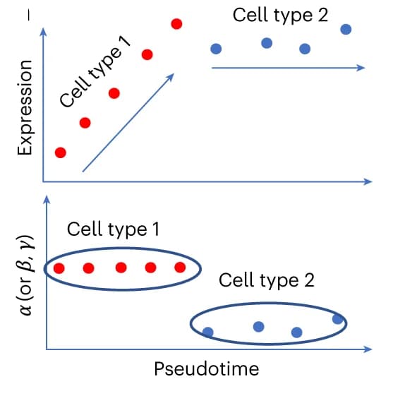Open access visualization of Scatter Plot, Regression Plot, Genes, Cell Types, Gene Expression