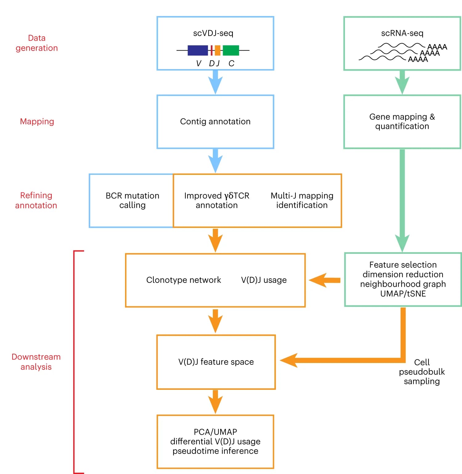 Open access visualization of Workflow, Flowchart, Dandelion Workflow, Single-Cell Gene Expression, AIR Repertoire