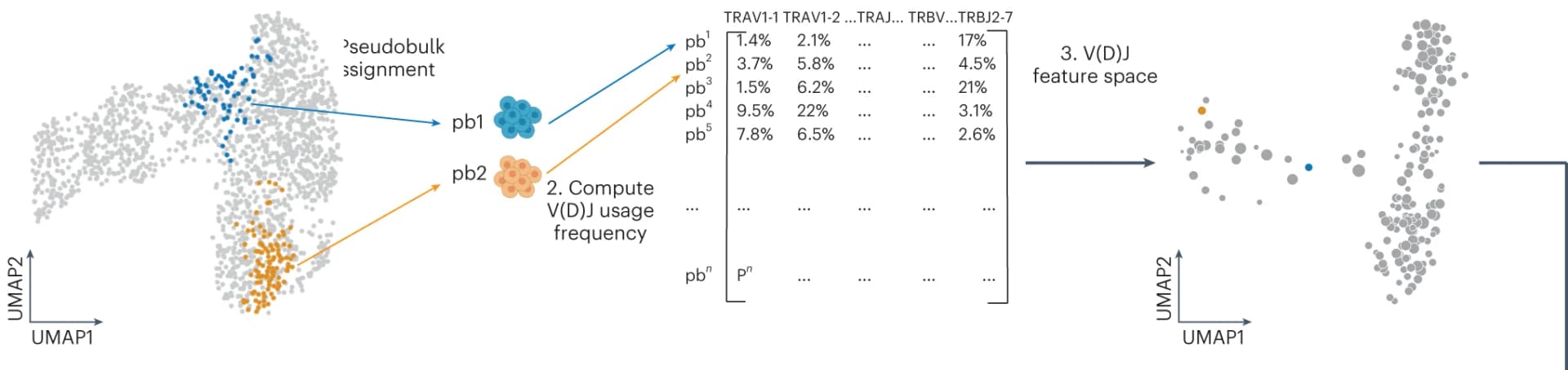 Open access visualization of UMAP, Scatter Plot, Bubble Plot, V(D)J feature space, Pseudobulks