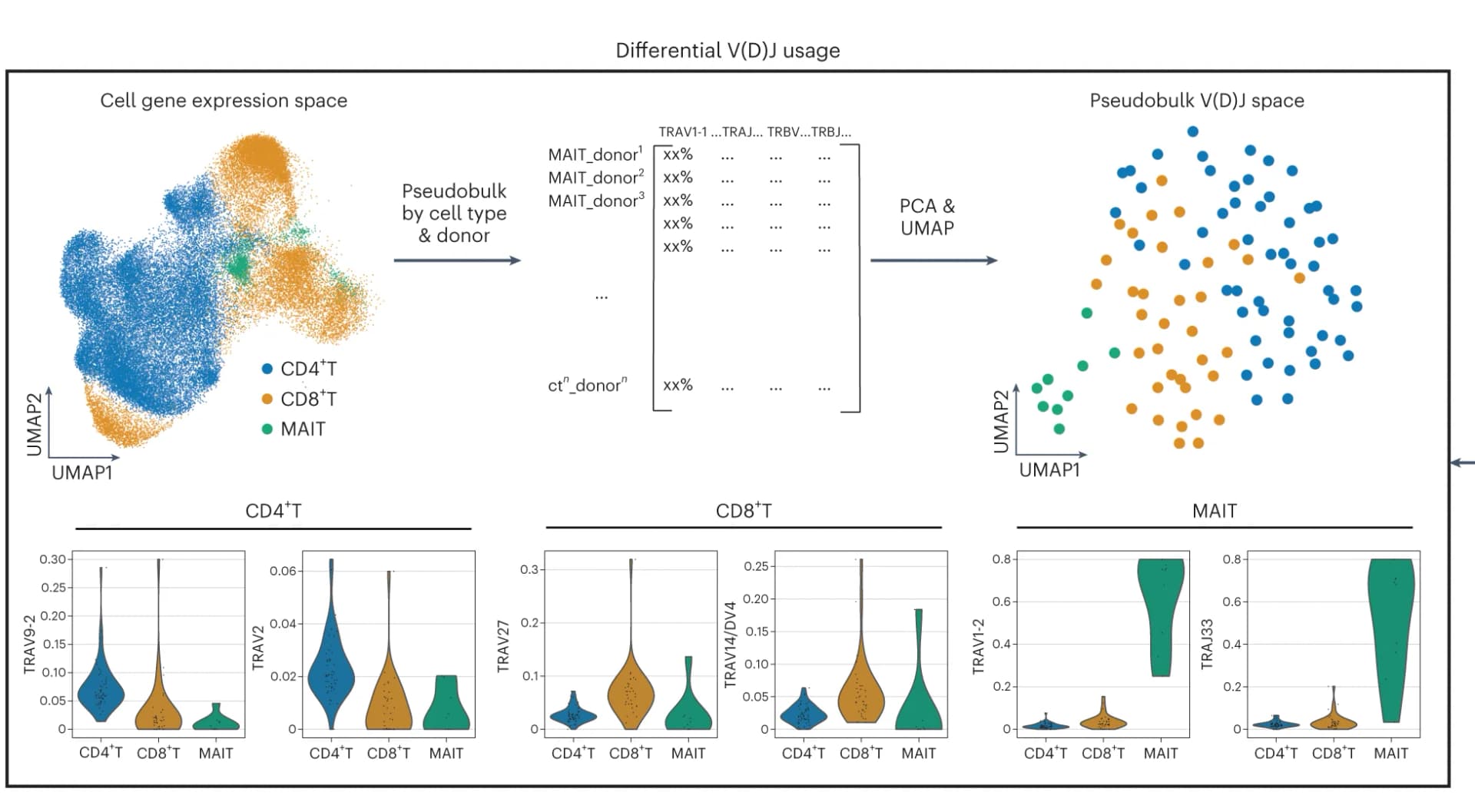 Open access visualization of UMAP, Scatter Plot, PCA, Violin Plot, Gene expression UMAP