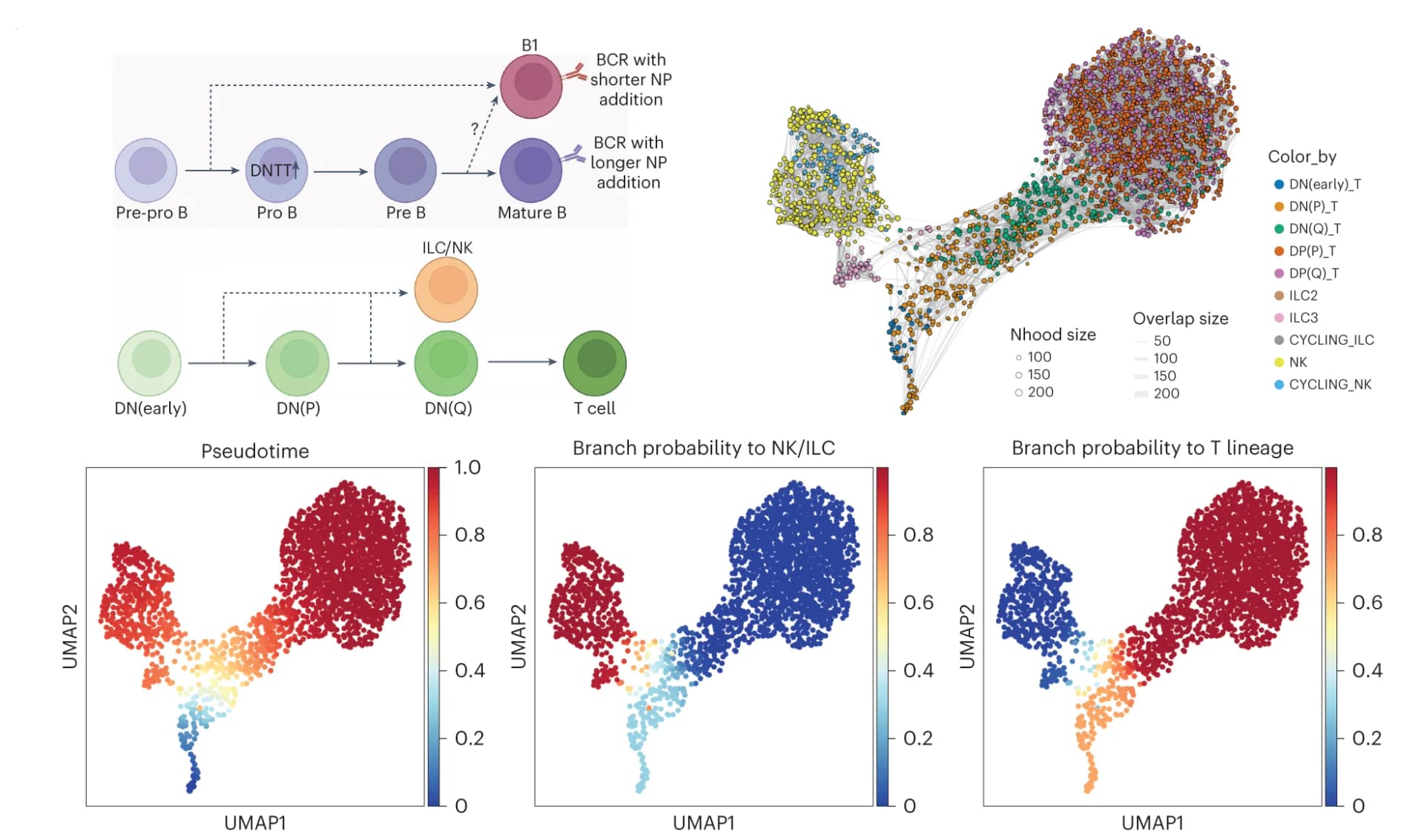 Open access visualization of UMAP, Scatter Plot, Network, Workflow, Schematic Illustration