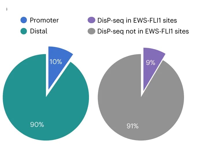 Open access visualization of Pie Chart, DisP-seq Peaks, EWS-FLI1, SKNMC Cells, Genomic Distribution