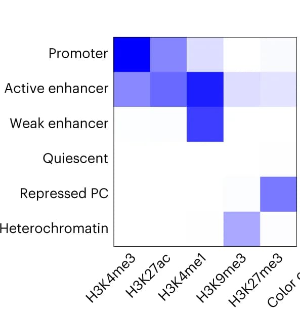 Open access visualization of Heatmap, DisP-seq Peaks, ChromHMM, Classification