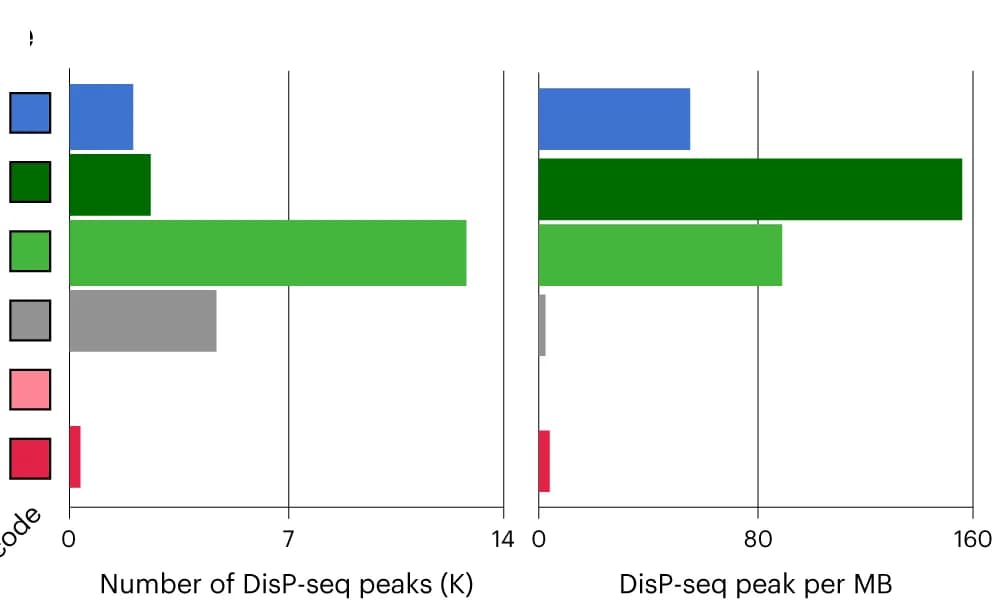 Open access visualization of Bar Plot, DisP-seq Peaks, Peaks per Mb, ChromHMM Categories
