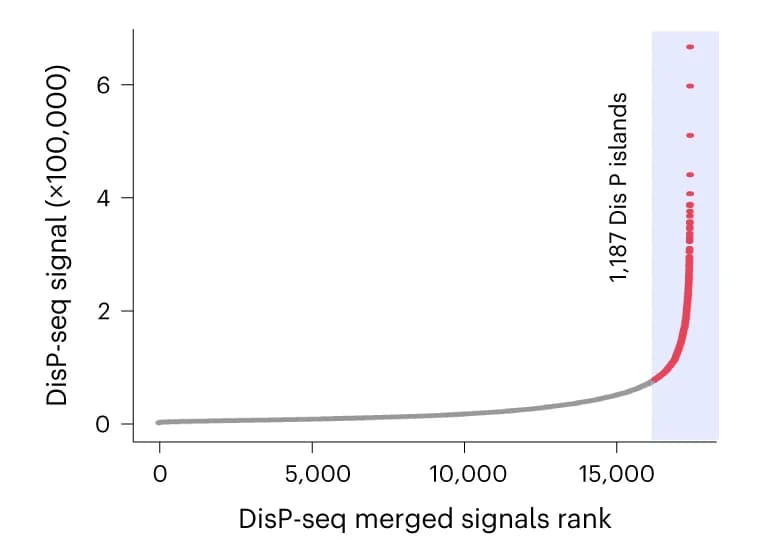 Open access visualization of Scatter Plot, Line Plot, DisP Islands, SKNMC Cells, Merged Signals