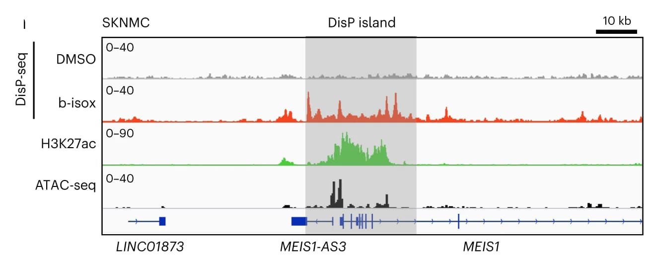 Open access visualization of Line Plot, DisP Island, H3K27ac, ChIP-seq, ATAC-seq