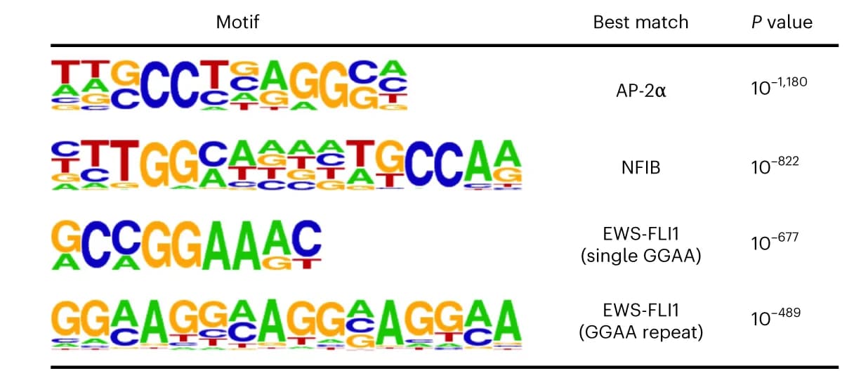 Open access visualization of Illustration, Table Image, Motif Enrichment Analysis, DisP-seq, SKNMC Cells