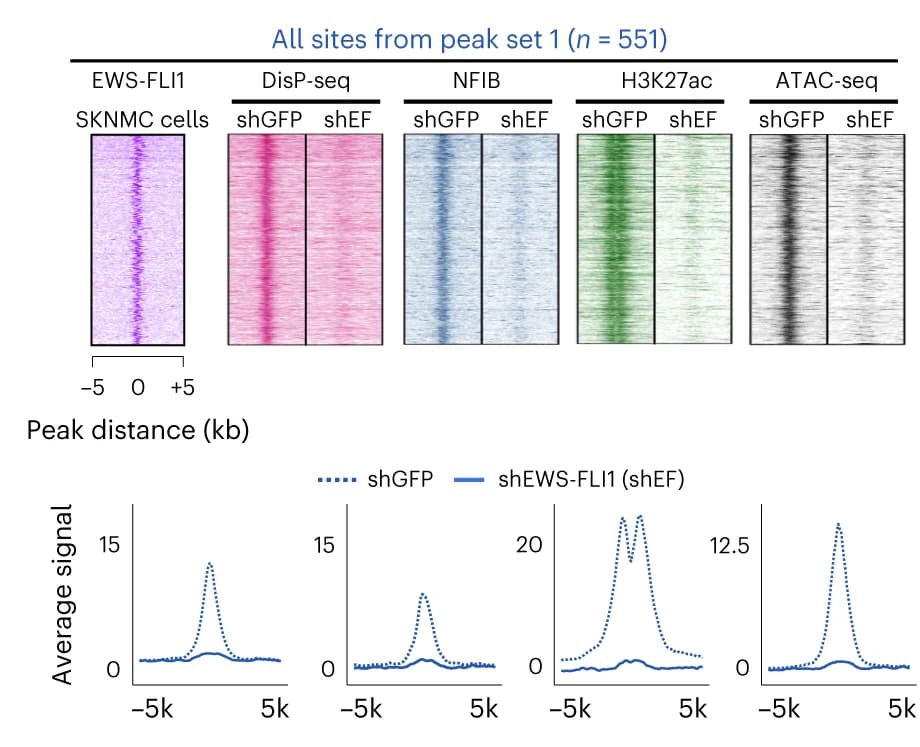 Open access visualization of Heatmap, Line Plot, Heatmaps, ChIP-seq, ATAC-seq