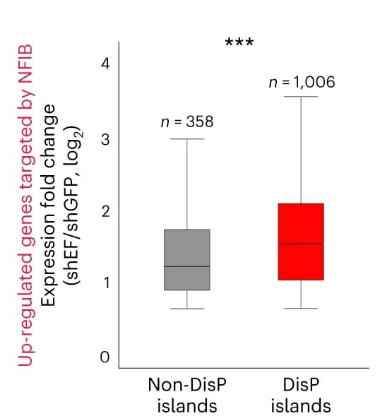 Open access visualization of Box Plot, Boxplot, NFIB Target Genes, EWS-FLI1 Depletion, DisP Islands