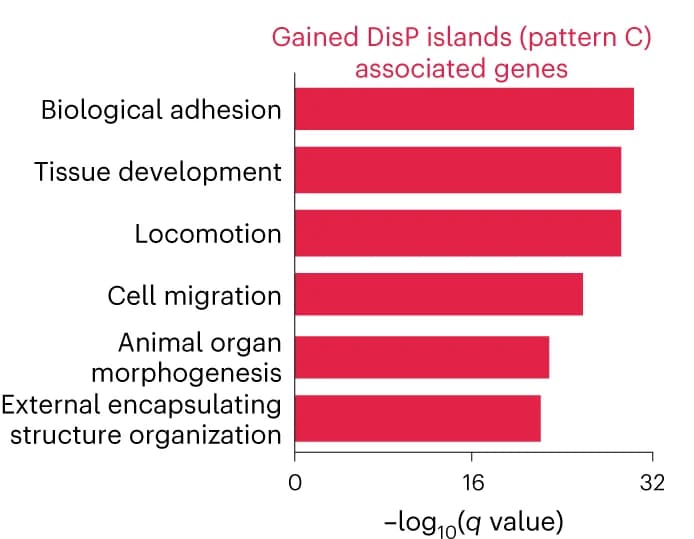 Open access visualization of Bar Plot, GO Analysis, Upregulated Genes, DisP Islands, EWS-FLI1 Depletion