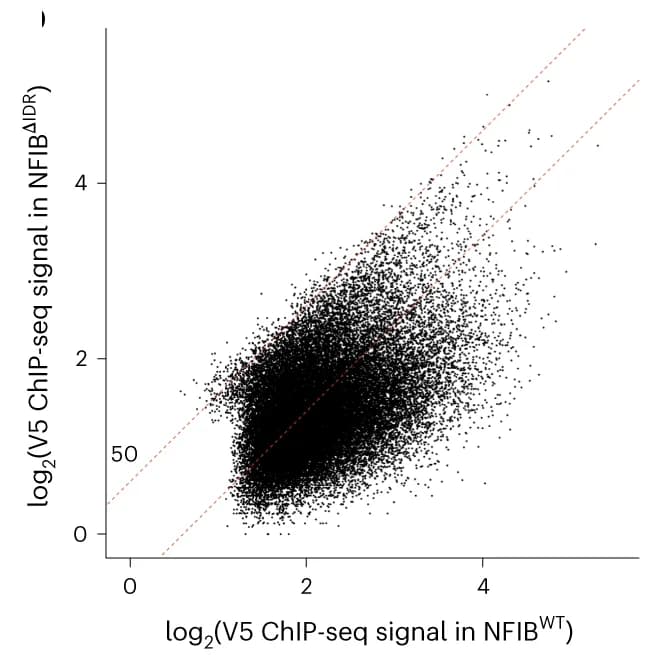 Open access visualization of Scatter Plot, Regression Plot, V5 ChIP-seq, NFIB WT, NFIB IDR