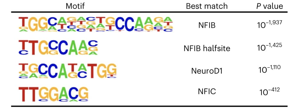 Open access visualization of Table Image, Motif enrichment analysis, DisP-seq signals, NCI-H446 SCLC cells