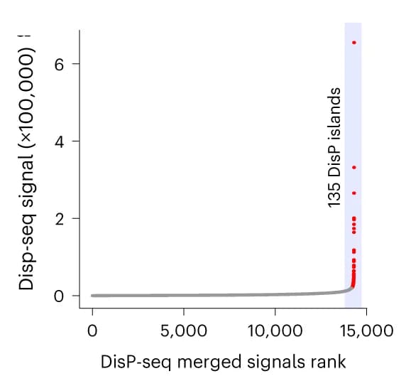 Open access visualization of Scatter Plot, Line Plot, DisP islands, NCI-H446 cells, DisP-seq signals