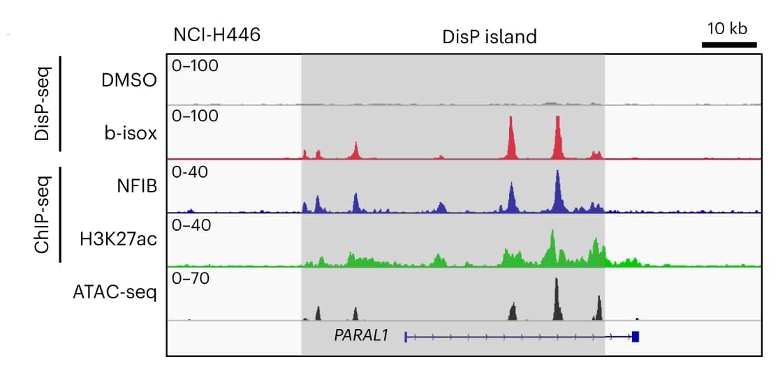 Open access visualization of Line Plot, DisP island, H3K27ac ChIP-seq, ATAC-seq