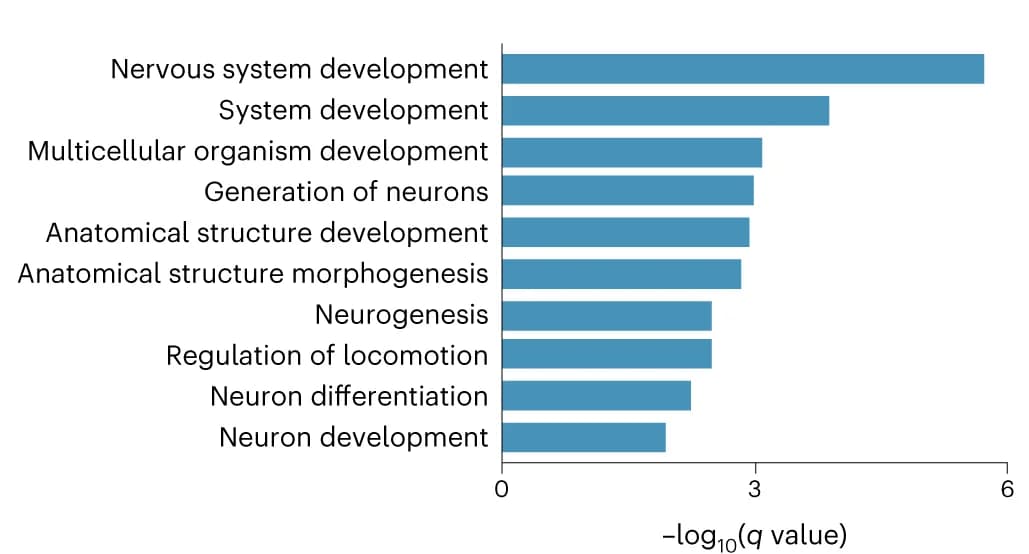 Open access visualization of Bar Plot, GO analysis, Genes, DisP islands, NCI-H446 cells