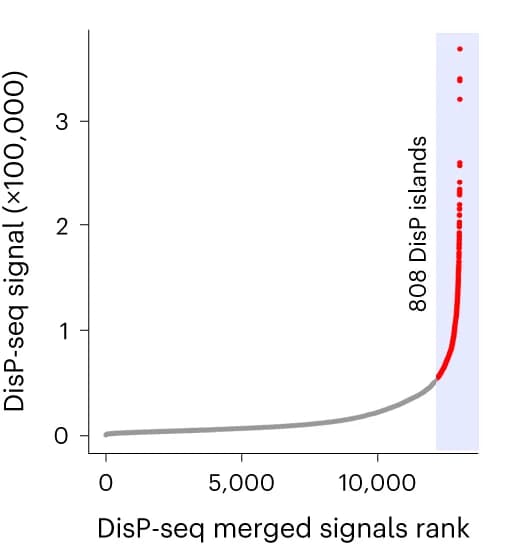 Open access visualization of Scatter Plot, Line Plot, DisP Islands, MRC5 Cells, DisP-seq Signals
