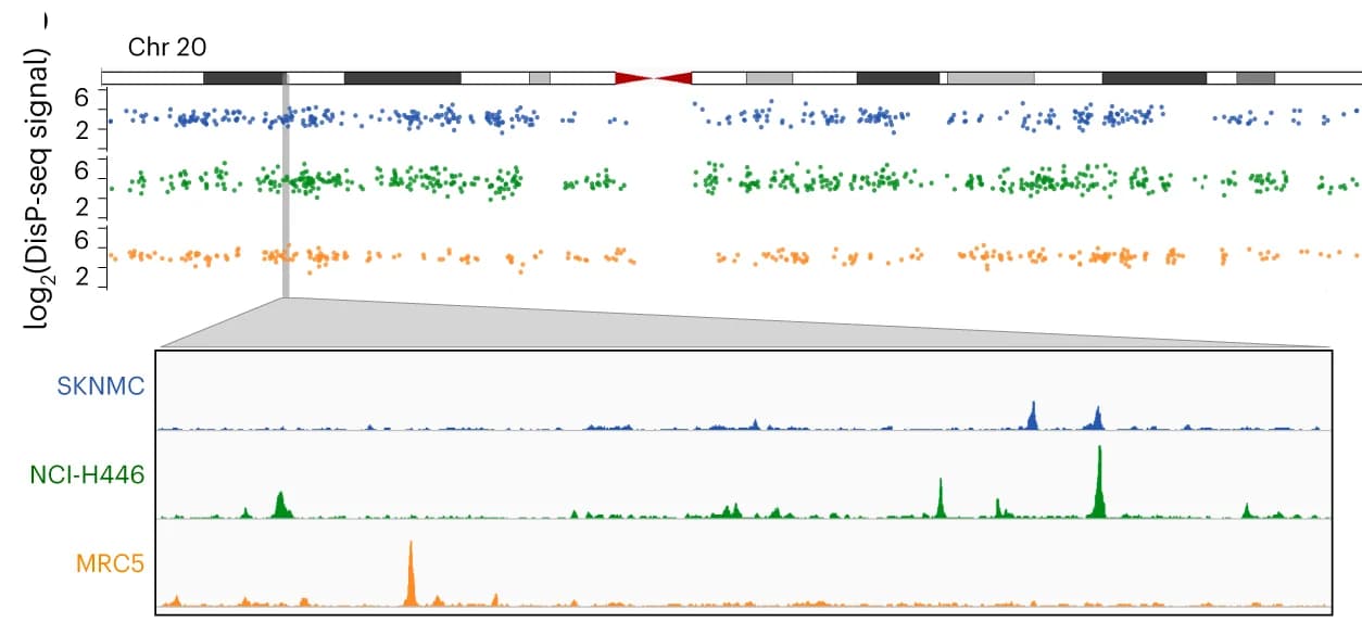 Open access visualization of Scatter Plot, Line Plot, Density Plot, Locuszoom Plot, DisP-seq Signals