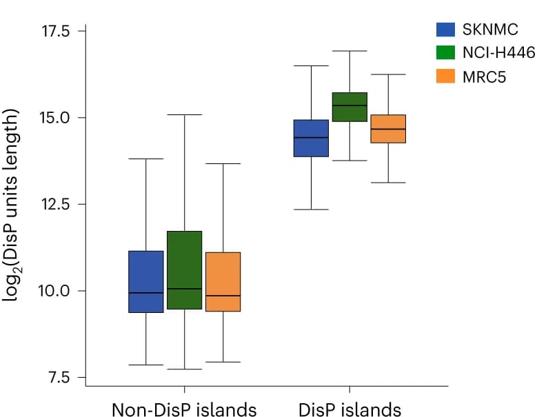 Open access visualization of Box Plot, Box Plots, DisP Islands, DisP Peaks, SKNMC Cells